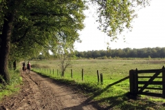 Paardrijden in Montferland