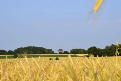 Vergezicht op de Grafelijke Torenmolen