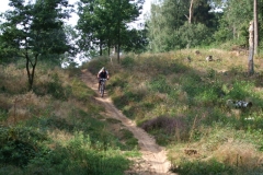 Mountainbiken in Montferland