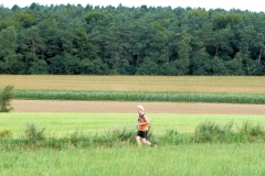 Hardlopen in Montferland